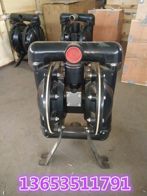 СBQG-200/0.3늄ӸĤýY(ji)(gu)DN>>