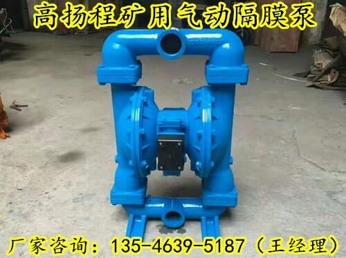 BQG100/0.3VʽӸĤɽ|ʝ