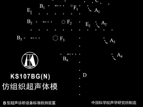 KS107BGN  \xzyØ˜ʳwģ