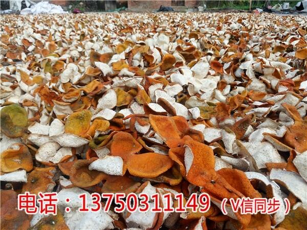 VƤXһȷW(wng)