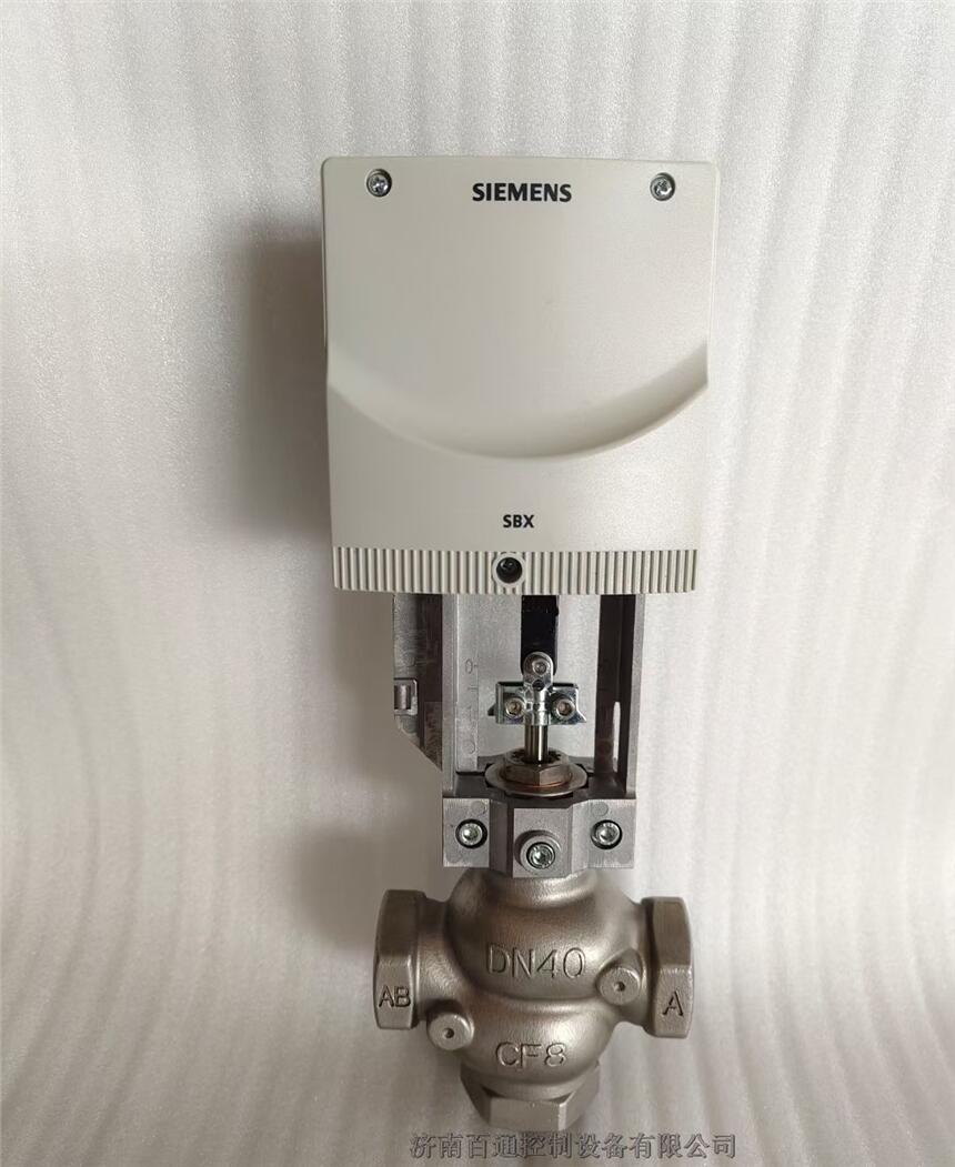 Tӱe{y P䓲| CF8-DN20 SBX61 0-10V