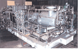 ̼⹤ˇwM438B8ζΉsCMSޱB