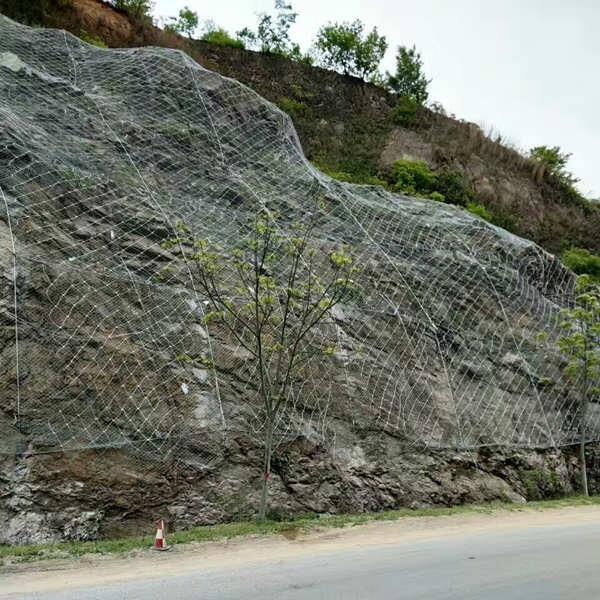 (dng)߅·o(h)W(wng)˾