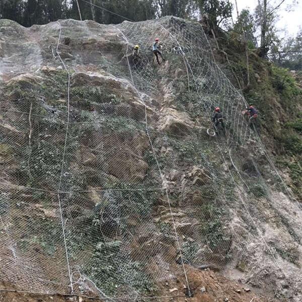 (dng)߅·o(h)W(wng)ô