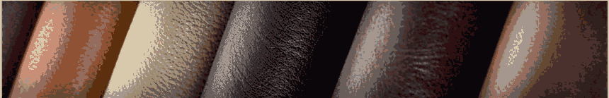 SţƤLWGSԃչ˾̿һͬՈLWGJCӋ