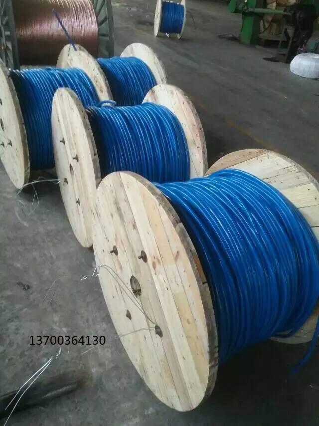 MHYVR3*0.5һ[2025Ѹ(/YӍ