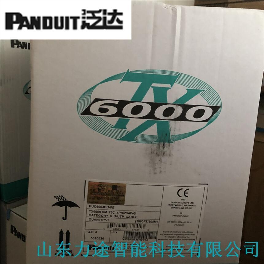 PANDUITɽ|k̎ u _W