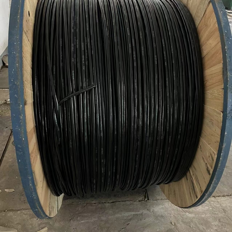 WD-MYJY33úV| 䓽zzb