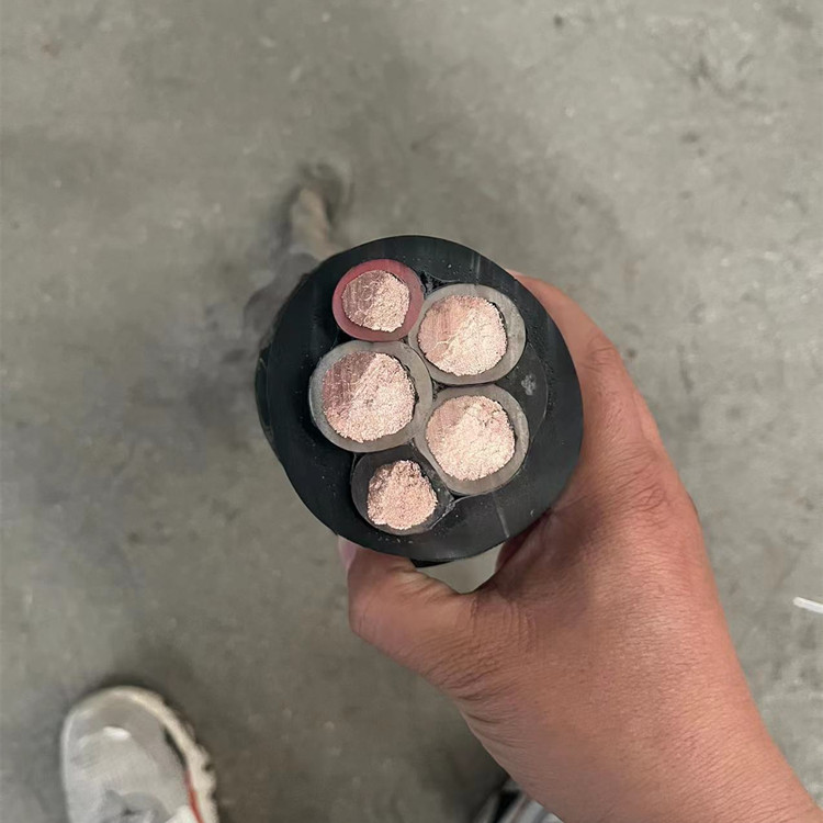 WDZCN-YJY0.6/1KVou͟|