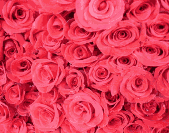 ϞT㾫 õ㾫 㾫 rgL