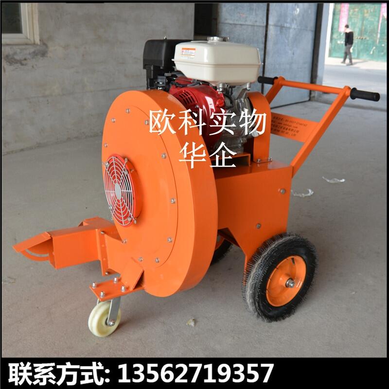 ~๦ߙCr·OǰߙCСͱﴵLCѩC