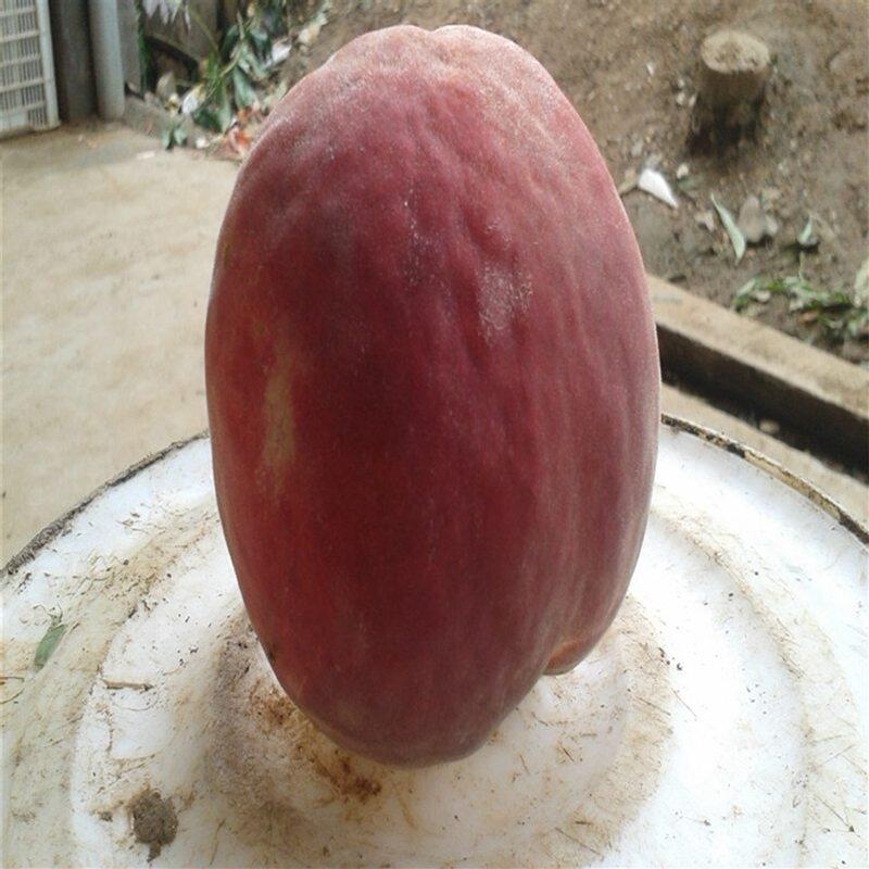 ƷNB ?gu)·ݳ? title=