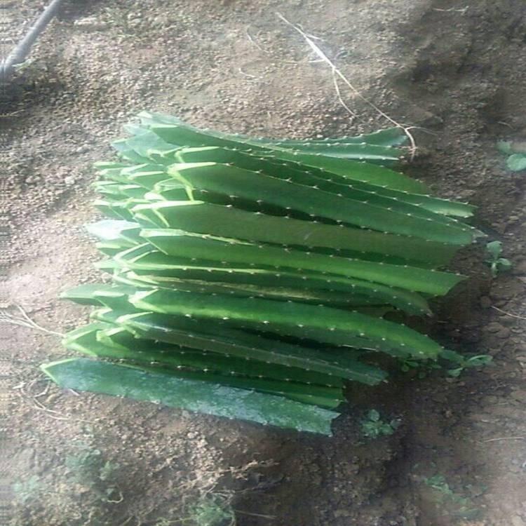 Nֲg(sh) 1̖(ho)r(ji)