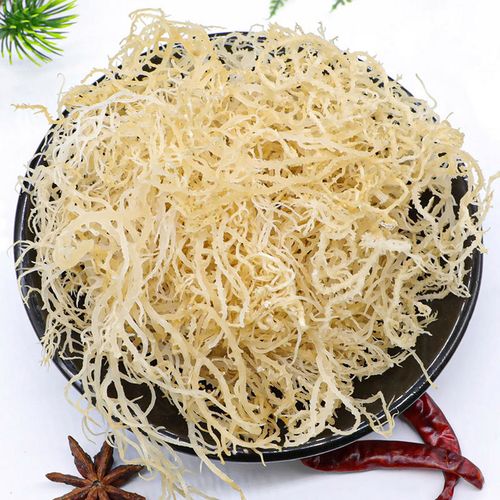 uM(jn)/횲P(gun)EԼ(bo)P(gun)Ԕ(x)