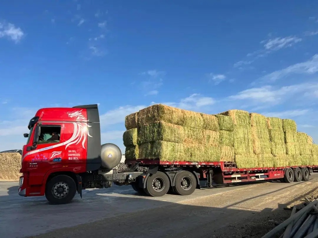 uޣMPԺҎļAlzAsIҎLU