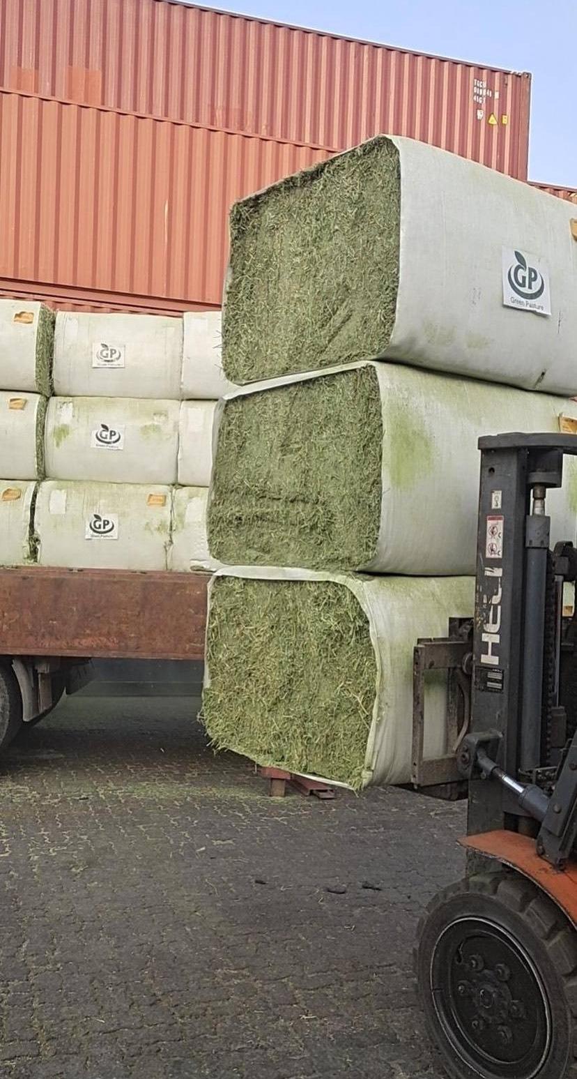 uޣP15ИIһһٷгZ