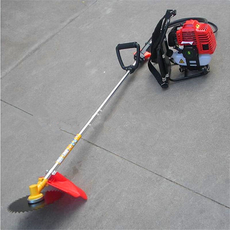 |IIaݔ͙Cӹ ͸ߜwݔ͙C