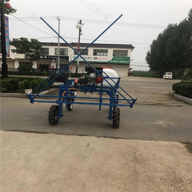  r(nng)ʽˎC(j) ʽۯBUˎC(j)