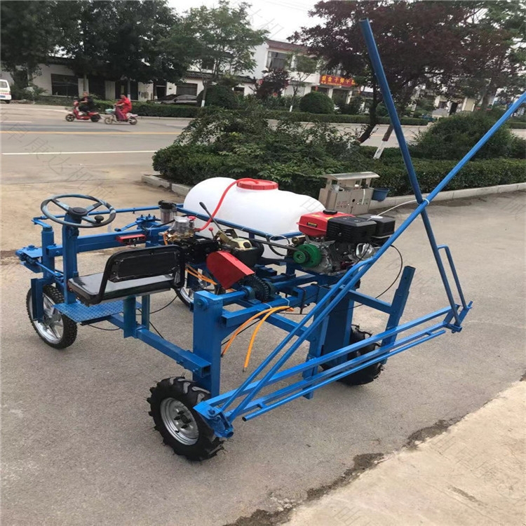 o ݆ˎC(j) [شˎC(j)