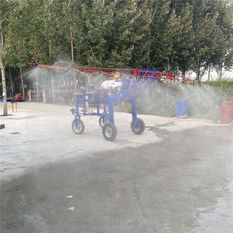 ˎ  ʽҺ  ״ˎC СˎC