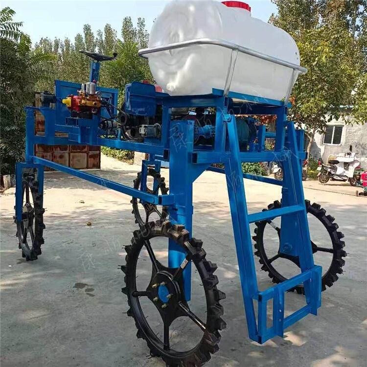 ݆߉ˎCС݆ˎC ״ˎC ҺˎC