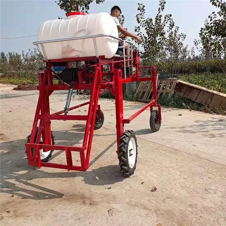 ˎC(j)݆ˎC(j)ҺˎC(j)ׇF