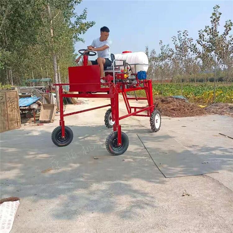 ˮˎC,ҒʽˎC,ʽ״ˎC