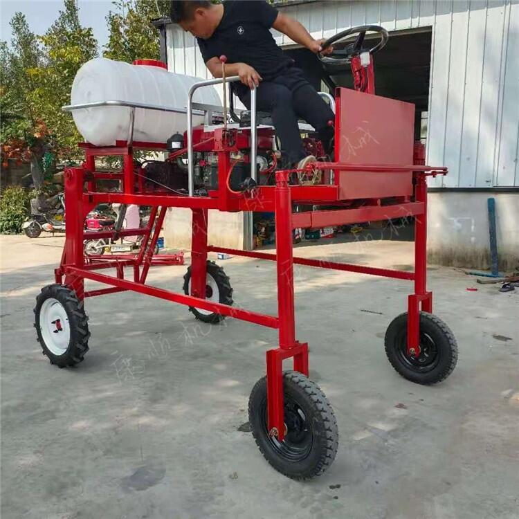 ˎC r(nng)ÚxˎC߲˺xˎC