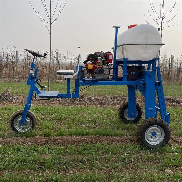 ˈ@ӴˎCʽ݆ˎC  СˎC