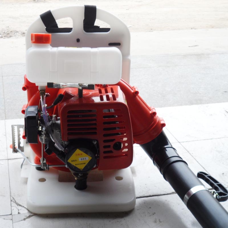 ʥ·҉mL(fng)C ʯL(fng)C