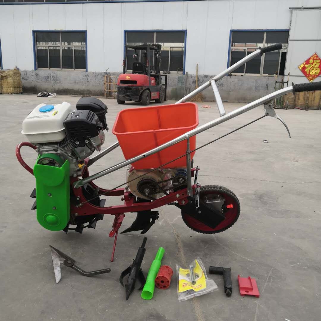 gr(nng)ʩʙC ๦ʩʲNC