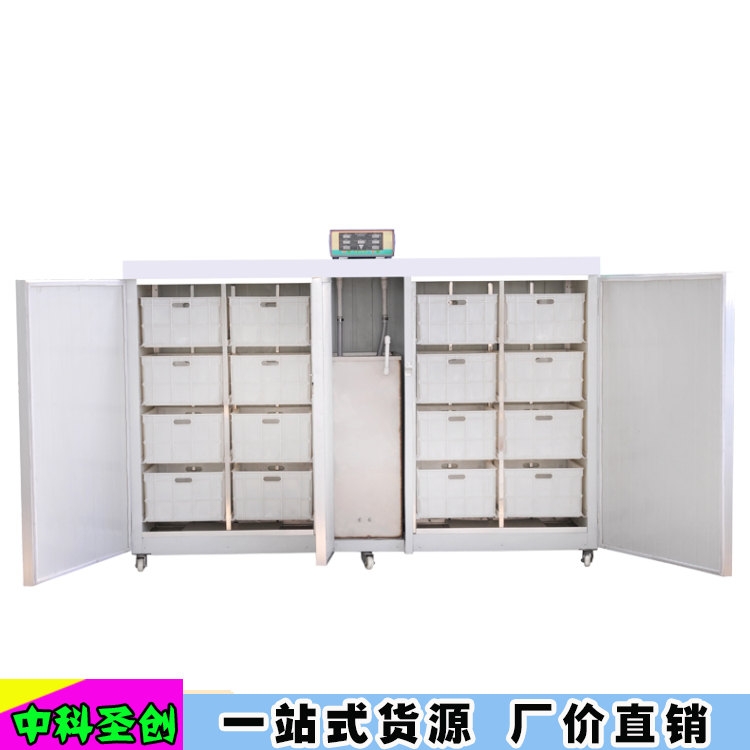 пʥѿCS GɫoѿCO ѿar