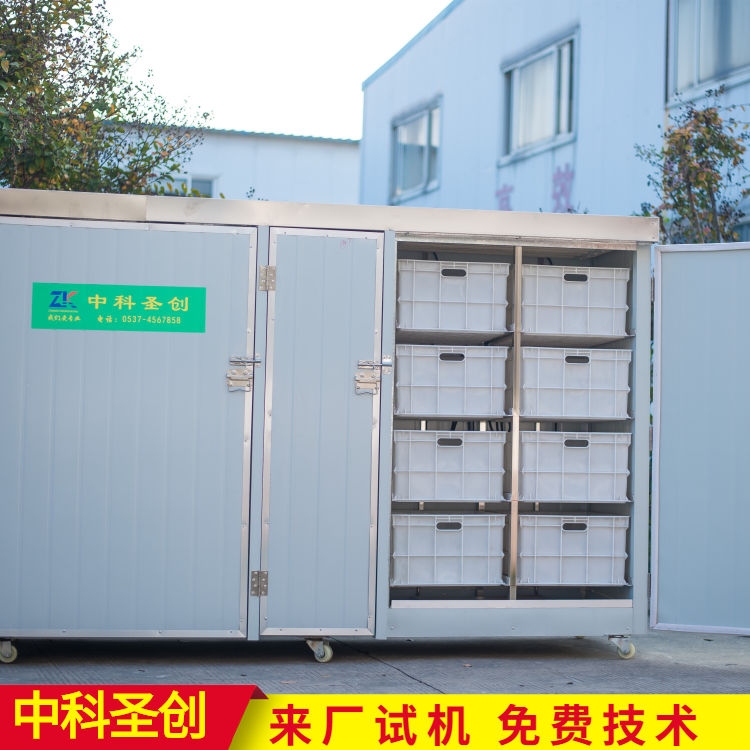 ѿęCX? ΢XԄӶѿC СͶѿar