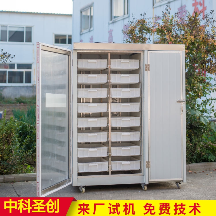 ๦ѿ˙Cr ԄСѿ˙C ɽ|ѿ˙CSֱN