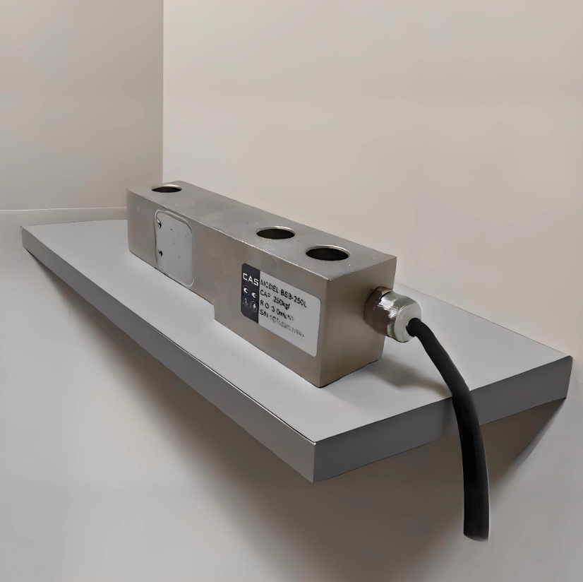 nCASPʿ ƉBSB-500LmڹbQ