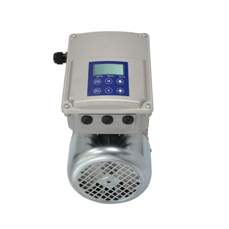 N۹(yng)NERI MOTORI늙C(j)