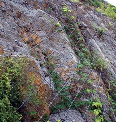 ɽɽwSoӾWӾWaƷrbԃSܽͨ