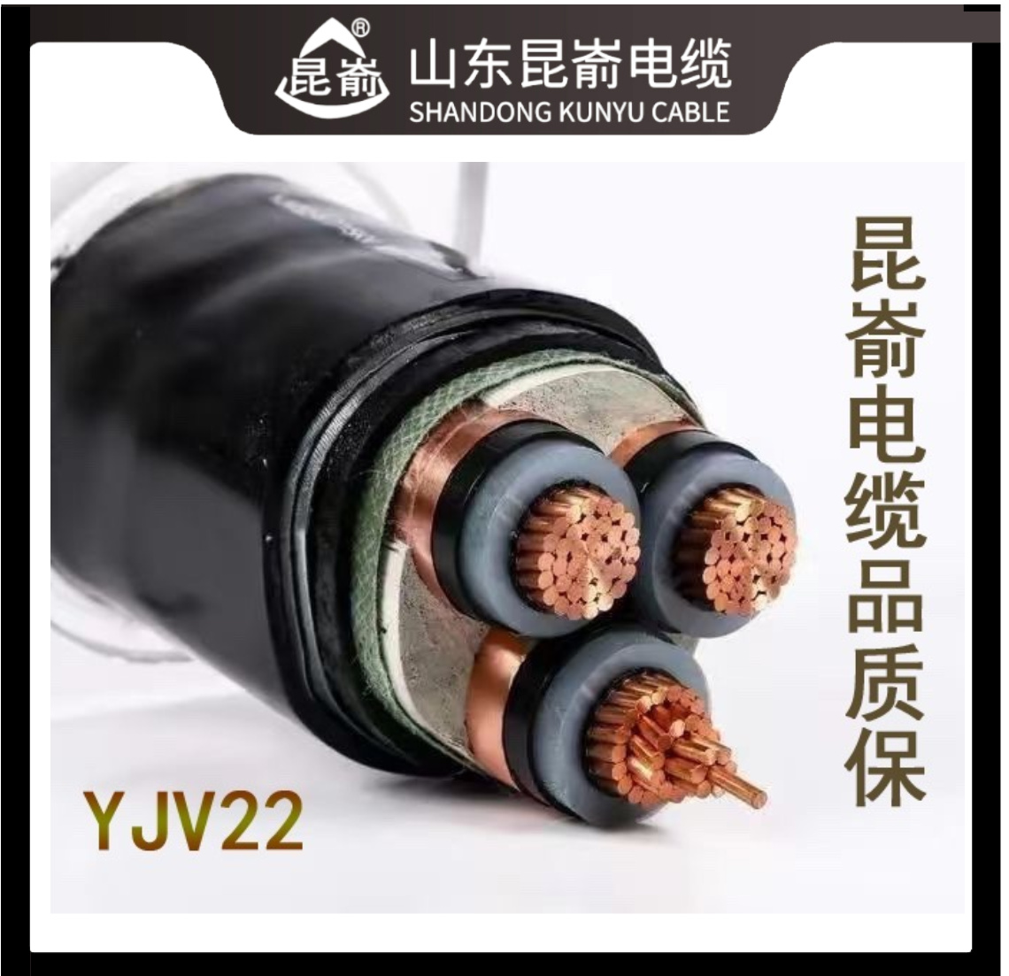 ĵ|l(f)ĵ|ɽ||Ƹ߉(lin)|