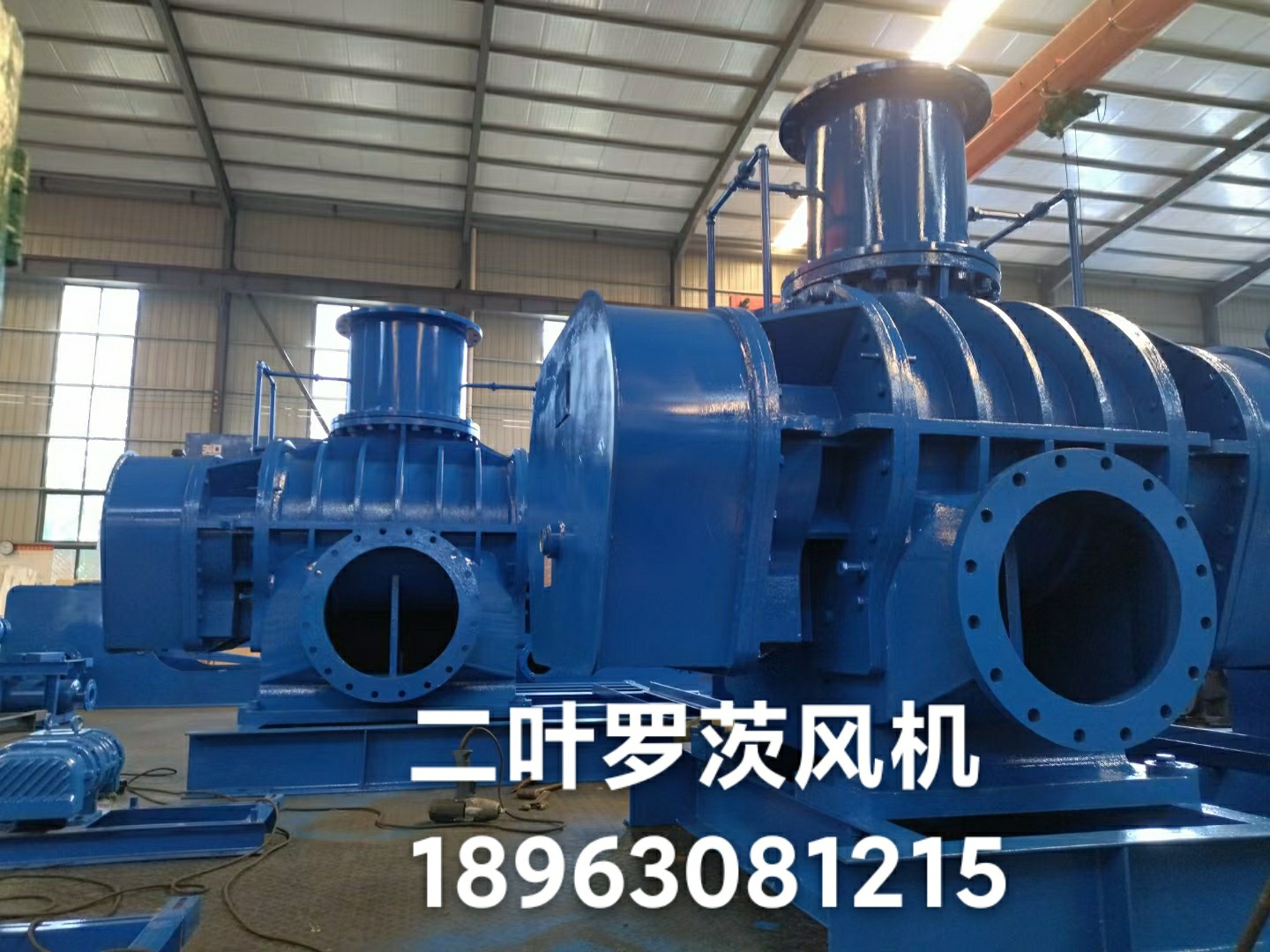 {Ƃ켈ӡˢṩ՚Uf(xi)L(fng)C(j)