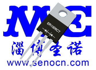 ER1006CT ER1606CT ER2006CT