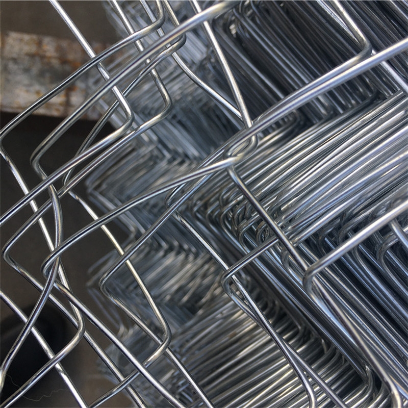 o¹W 14̖CιW ֲݹW Јr