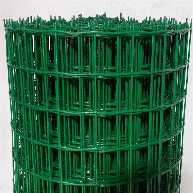 泣깩BֳmW FzW ȦغmW 5