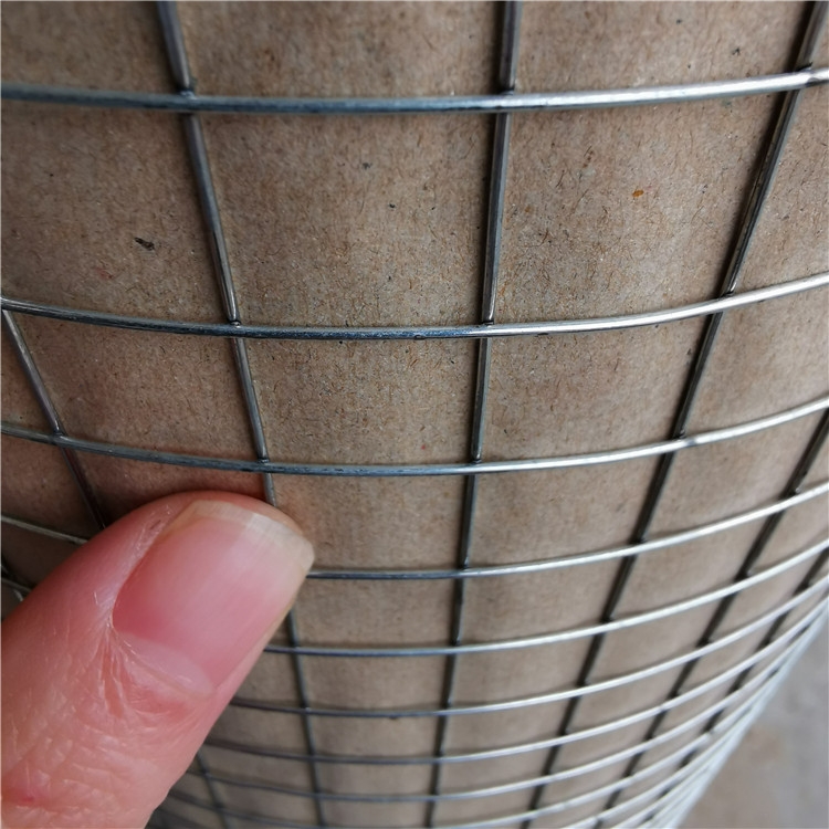 ۉ\FzW ≦늺W ≦̱FzW ҎRȫ