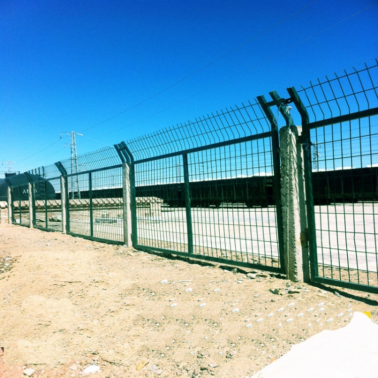 8001F·ořڃr ܉ͨoڏSҶ