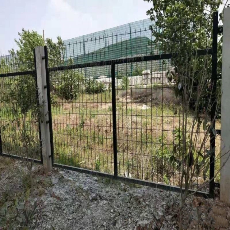 F·oھWS 8001ořڬF؛