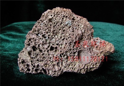 gӭRِGɫɰƺa̡I(y)޹˾gӭ!