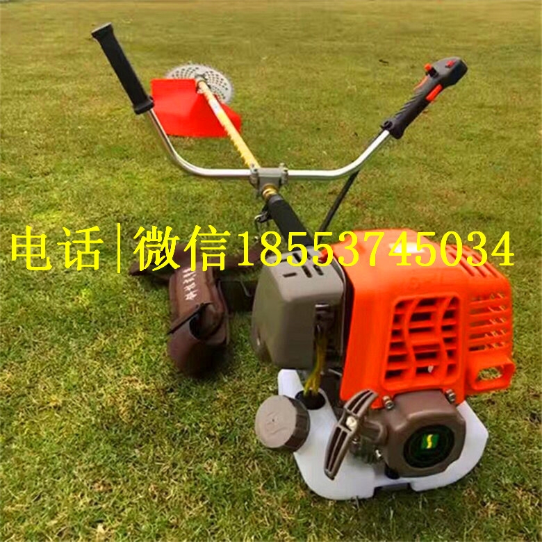 ֱN๦ܶ_ě_̸ݙC ē͸ݙC ʡrʡ