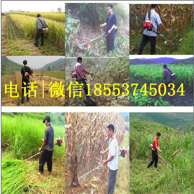 SֱNě_̂(c)ʽݙC(j) ؓ(f)ʽzC(j) ̈́ЧʸݙC(j)