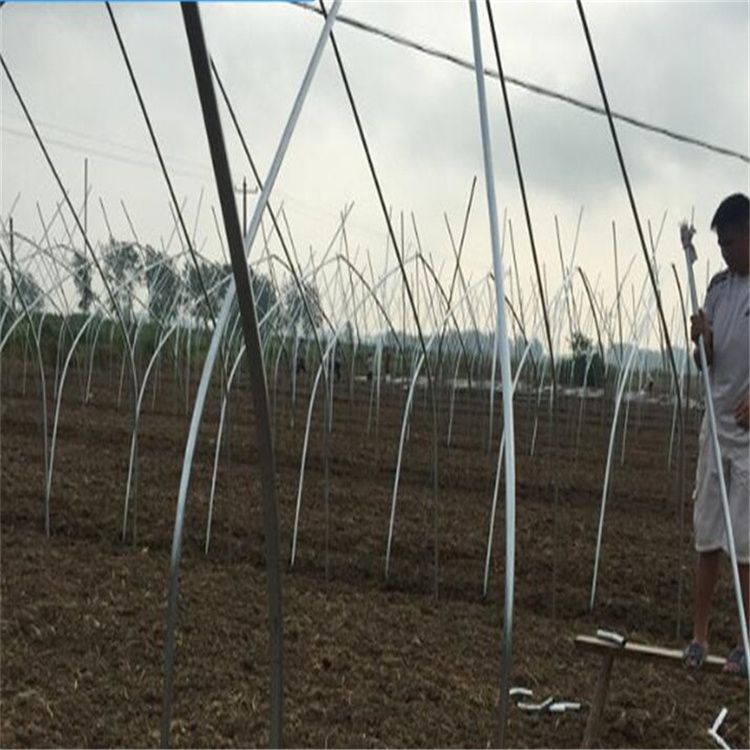 \?(gu)I(y)@NÑB(ti)(sh)