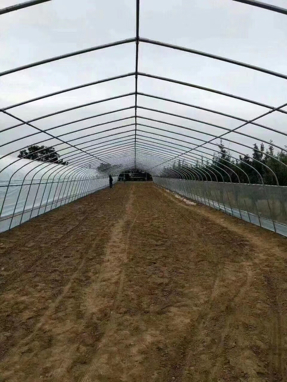 (ni)Bw?(gu)(ni)ӆη(wn)